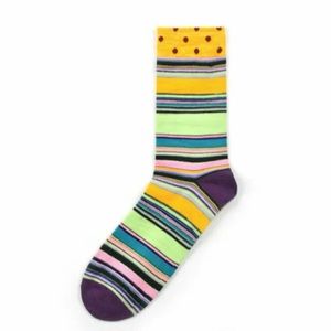 NWOT Men’s Socks, Multicolor Stripe, L